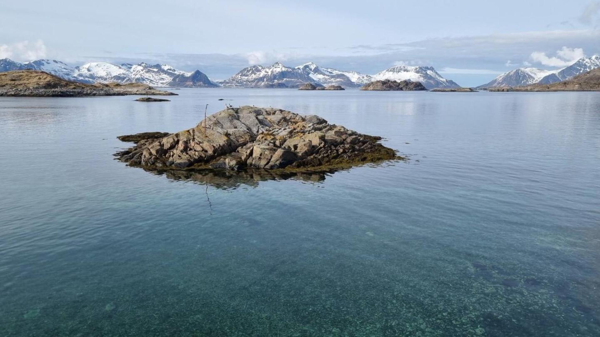 Modern Apartment By The Sea In Henningsvaer Exterior photo